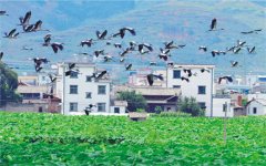 強化招商引資 推進園區(qū)建設——訪市黨代表、工業(yè)園區(qū)主任李俊龍