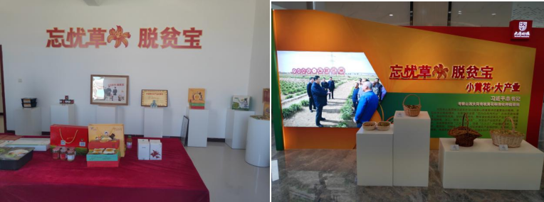 打造農(nóng)業(yè)綠色發(fā)展典范，云州區(qū)創(chuàng)建國家農(nóng)業(yè)綠色發(fā)展先行區(qū)勢在必行